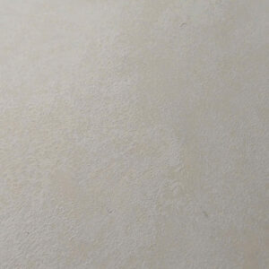 Sơn hiệu ứng bê tông Stucco CR-Y050