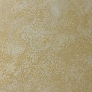 Sơn hiệu ứng Stucco CR-Y052