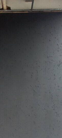 thi công sơn hiệu ứng Plaster PL-G100 tại somtumthai Thảo điền, Q2